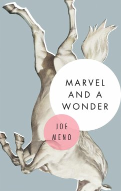 Marvel and a Wonder - Meno, Joe