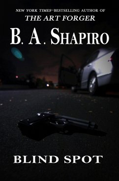 Blind Spot - Shapiro, B A