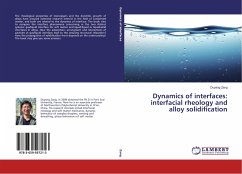 Dynamics of interfaces: interfacial rheology and alloy solidification