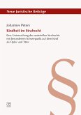 Kindheit im Strafrecht (eBook, PDF)