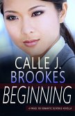 Beginning (PAVAD: FBI Romantic Suspense, #1) (eBook, ePUB)