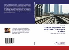 Static and dynamic risk assessment in complex projects