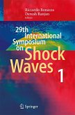 29th International Symposium on Shock Waves 1