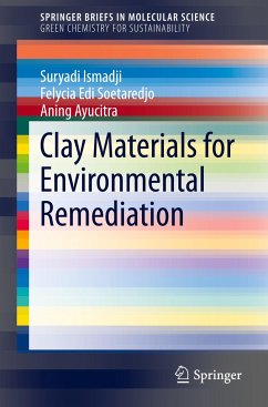 Clay Materials for Environmental Remediation - Ismadji, Suryadi;Soetaredjo, Felycia Edi;Ayucitra, Aning