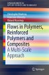 Flows in Polymers, Reinforced Polymers... - Bild 1