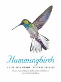 Hummingbirds (eBook, ePUB)