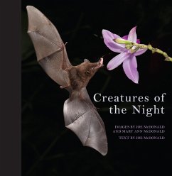 Creatures of the Night - McDonald, Mary Ann