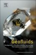 Geofluids - Bild 1