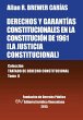 DERECHOS Y GARANTÍAS CONSTITUCIONALES... - Bild 1