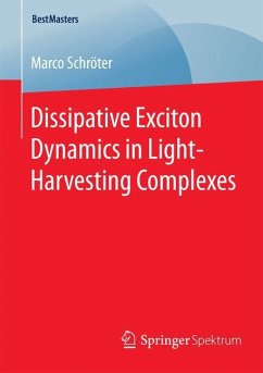 Dissipative Exciton Dynamics in Light-Harvesting Complexes - Schröter, Marco