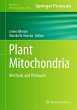 Plant Mitochondria - Bild 1