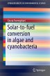 Solar-to-Fuel Conversion in Algae and... - Bild 1