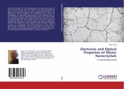 Electronic and Optical Properties of Silicon Nanocrystals - Trani, Fabio