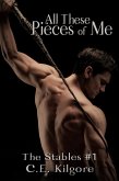All These Pieces of Me (The Stables, #1) (eBook, ePUB)