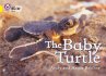 The Baby Turtle - Bild 1
