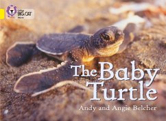 The Baby Turtle - Belcher, Andy; Belcher, Angie