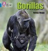 Gorillas - Bild 1