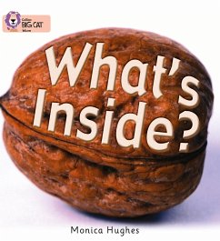 What's Inside? - Hughes, Monica