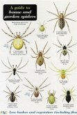 A Guide to House and Garden Spiders A Guide to House and Garden Spiders