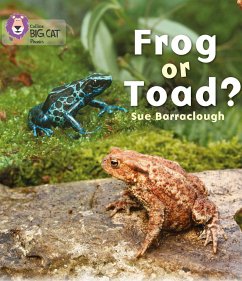 Frog or Toad? - Barraclough, Sue