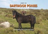 Spirit of Dartmoor Ponies Spirit of Dartmoor Ponies