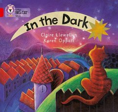 In the Dark - Llewellyn, Claire