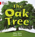 The Oak Tree