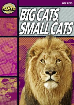 Cover Rapid Reading: Big Cats Small Cats (Stage 1, Level 1a)