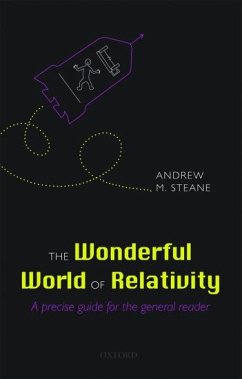 The Wonderful World of Relativity - Steane, Andrew