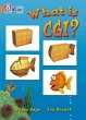 What Is CGI? - Bild 1