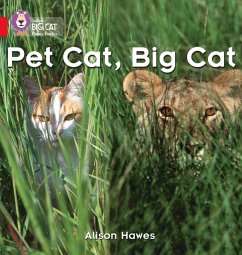 Pet Cat, Big Cat - Hawes, Alison