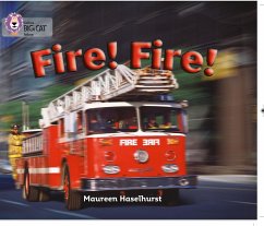 Fire! Fire! - Haselhurst, Maureen