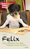 Felix (eBook, ePUB)