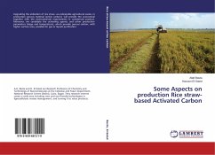 Some Aspects on production Rice straw-based Activated Carbon