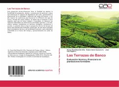 Las Terrazas de Banco - Mancilla Villa, Oscar Raúl;Guevara G., Rubén Darío;Olguín L., José Luis