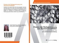 Prozess der Rückgewinnung von Aluminiumabfällen - Hartmann, Carola