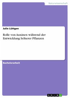 Rolle von Auxinen während der Entwicklung höherer Pflanzen (eBook, PDF)