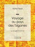 Voyage au pays des Tziganes (eBook, ePUB)