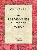 Les Merveilles du monde invisible (eBook, ePUB)