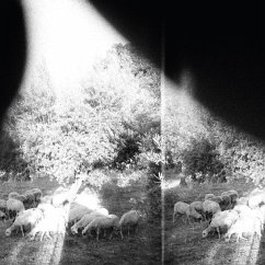 Asunder,Sweet And Other Distress - Godspeed You! Black Emperor