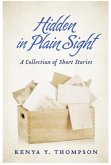 Hidden in Plain Sight (eBook, ePUB) Hidden in Plain Sight (eBook, ePUB)