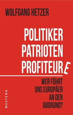 Politiker, Patrioten, Profiteure (eBook, ePUB) - Hetzer, Wolfgang