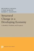 Structural Change in a Developing Economy
