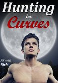 Hunting For Curves (eBook, ePUB)