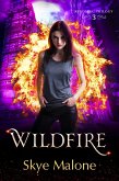 Wildfire (The Kindling Trilogy, #3) (eBook, ePUB) Wildfire (The Kindling Trilogy, #3) (eBook, ePUB)