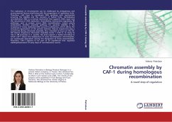 Chromatin assembly by CAF-1 during homologous recombination
