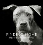 Finding Home