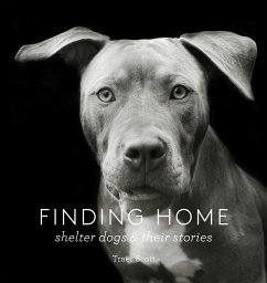 Finding Home - Scott, Traer