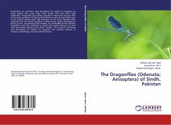 The Dragonflies (Odonata; Anisoptera) of Sindh, Pakistan - Iqbal, Muhammad Asif;Rizvi, Syed Anser;Akhter, Muhammad Atique