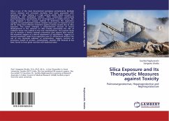 Silica Exposure and Its Therapeutic Measures against Toxicity
